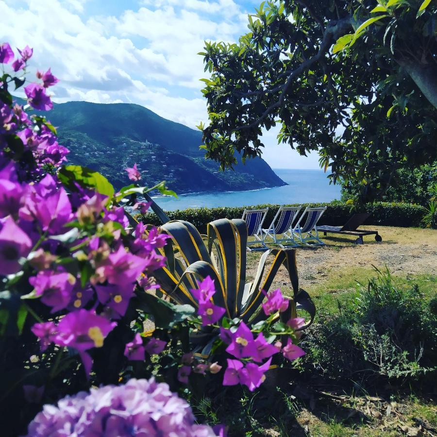 Villa Venino Монелья Екстер'єр фото