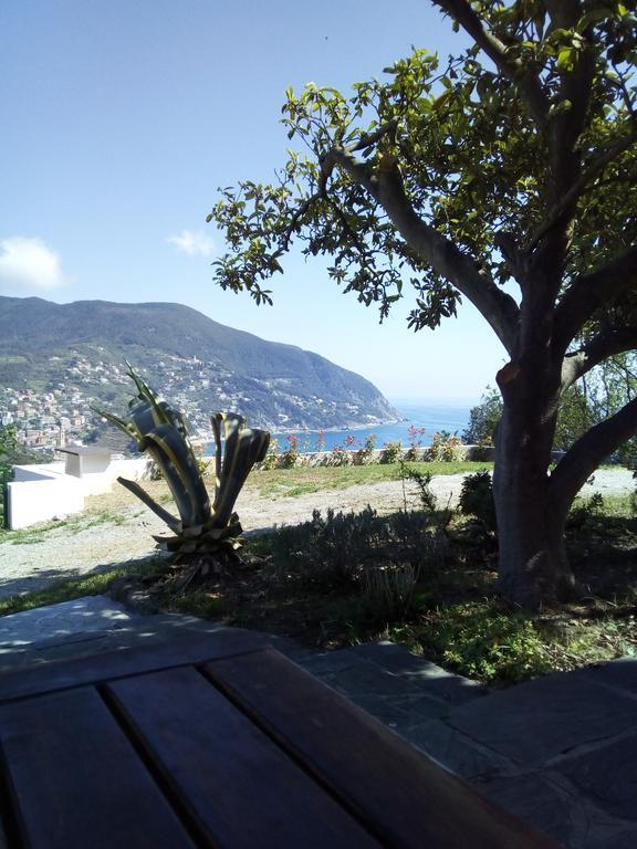 Villa Venino Монелья Екстер'єр фото